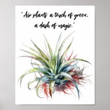 Leuke Air Plant Quote Wall Art Poster
