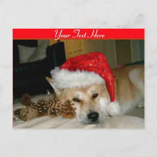 Leuke akita in rood santapet met Kerstmiskegels Feestdagenkaart