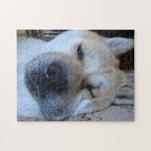 Leuke akita slapen originele honden slapen foto legpuzzel