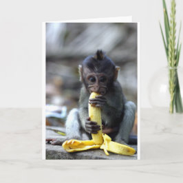 Leuke baby macaque aap die banaan eten kaart