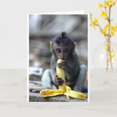 Leuke baby macaque aap die banaan eten kaart (Gele Bloem)