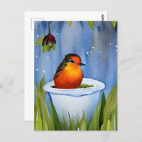 Leuke baby robin, postcrossing