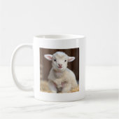 Leuke Baby Sheep Mok - Leuke dierlijke Mokken (Links)