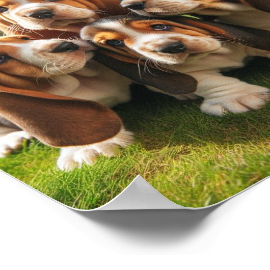 Leuke Basset Hound puppies Poster (Hoek)