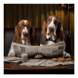 Leuke basset hounds lezen krant perfect poster