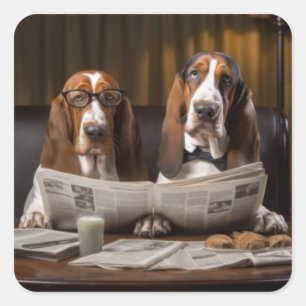 Leuke basset hounds lezen krant vierkante sticker