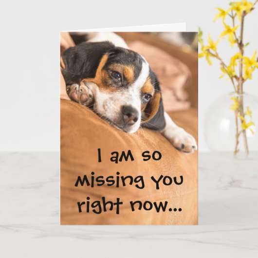 Leuke Beagle Puppy ontbreekt u citaat Kaart (Gele Bloem)