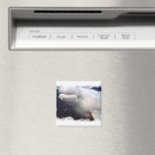 Leuke Beluga walvis magneet (Insitu (Vaatwasser))