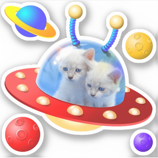 Leuke blauwe tweeling kittens katten in ufo's vlie sticker (Voorkant)