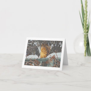 "LEUKE BONTEEKHOORN OP" SNEEUW VAN DE KAART