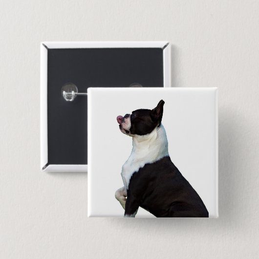 Leuke Boston Terrier Square Button (Voorkant /achterkant)