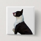Leuke Boston Terrier Square Button (Voorkant)