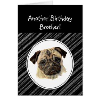 Leuke broer kijk niet triest verjaardag pug huisdi