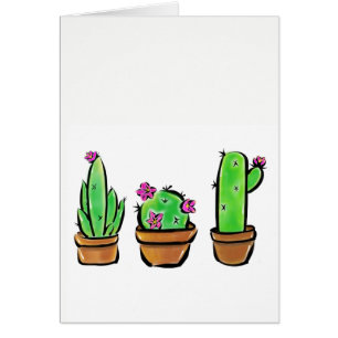 Leuke Cactus cactussen vetplanten