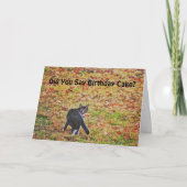 Leuke Cat Art Pun Funny Birthday Kaart (Voorkant)