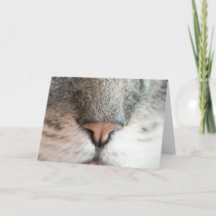 Leuke Cat Lover Verjaardag Pun kaart