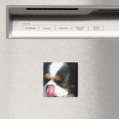 Leuke Cavalier Spanial Dog Magnet Magneet (Insitu (Vaatwasser))