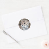 Leuke Cheetah Cub Foto Ronde Sticker (Envelop)