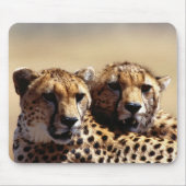 Leuke Cheetah Pair Muismat (Voorkant)