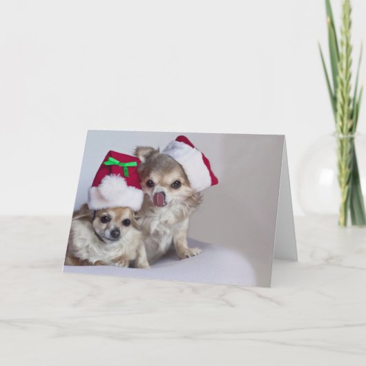 Leuke chihuahuasKerstkaart Feestdagen Kaart (Voorkant)