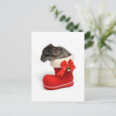 Leuke Chinchilla in de Kous van Kerstmis Feestdagenkaart (Staand voorkant)