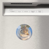 Leuke Chipmunk Zittend in een Food Container Magneet (Insitu (Vaatwasser))