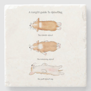 Leuke corgi puppy gids voor splooting stone onderz stenen onderzetter