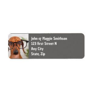 Leuke Dachshund Hond met bril Pet Etiket