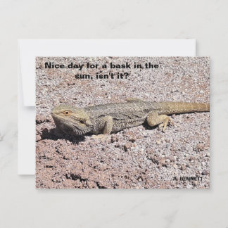 Leuke dag voor een zonnetje briefkaart