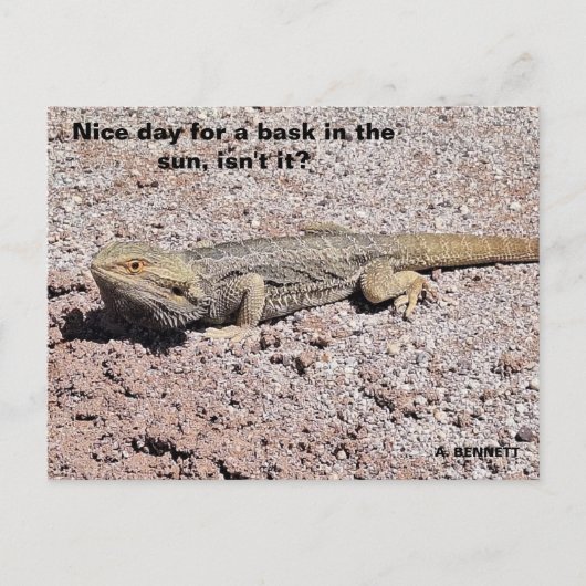 Leuke dag voor een zonnetje briefkaart (Voorkant)