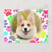 Leuke Dog Afbeelding Paw Pattern Custom Briefkaart (Voorkant)