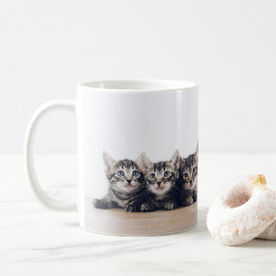 Leuke drie kittens koffiemok