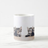 Leuke drie kittens koffiemok (Center)