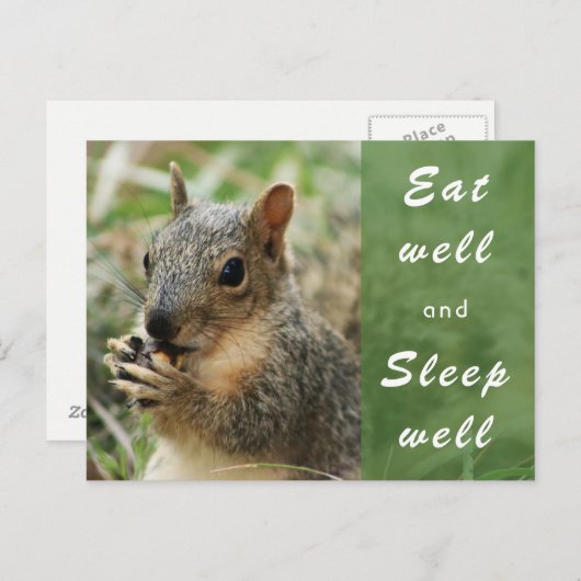 Leuke eekhoorn eet goed en slaap goed Postkaart (Voorkant / Achterkant)