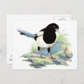 Leuke Ekster - de Vogel van de Waterverf Briefkaart (Voorkant / Achterkant)