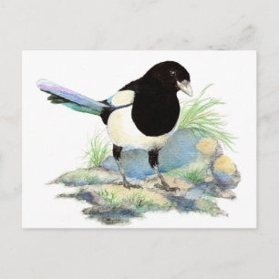 Leuke Ekster - de Vogel van de Waterverf Briefkaart