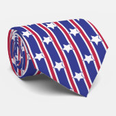 Leuke en Fancy Patriottische Sterren en Strepen Stropdas (Opgerold)