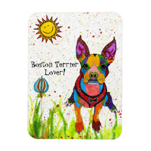 Leuke en kleurrijke Boston Terrier Magnet Magneet