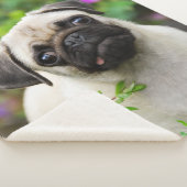 Leuke Fawn gekleurde pug puppy hond gezicht huisdi Sherpa Deken (3/4)