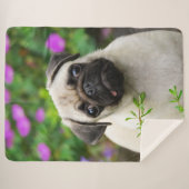 Leuke Fawn gekleurde pug puppy hond gezicht huisdi Sherpa Deken (Voorkant (horizontaal))