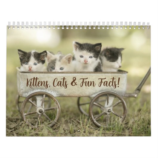 Leuke Feiten Kitten Kat Kalender (Hoes)