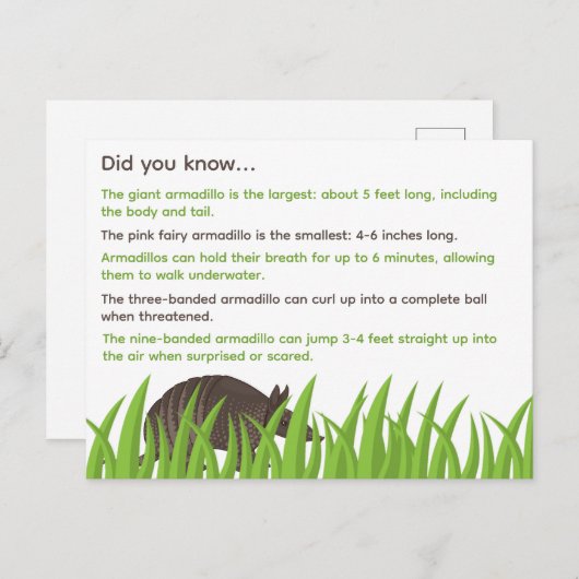 Leuke feiten over Armadillos Briefkaart (Voorkant / Achterkant)