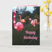 Leuke Flamingo Verjaardag Kaart (Gele Bloem)