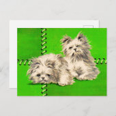 Leuke floofy honden briefkaart (Voorkant / Achterkant)