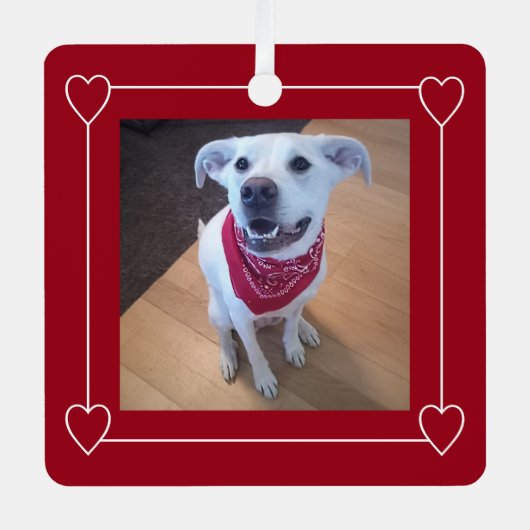 Leuke foto van Hond glimlachend Rood en Wit Kerstm Metalen Ornament (Voorkant)