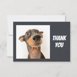 Leuke Gekke geschokt uitziende hond Dank u Bedankkaart