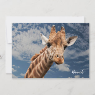 Leuke Giraffe foto Notitiekaartje