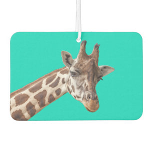 Leuke Giraffe Portret op Teal Turquoise Luchtverfrisser