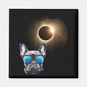 Leuke Grappige Hond Draagt Zonnebril Kijkt Naar Zo Magneet