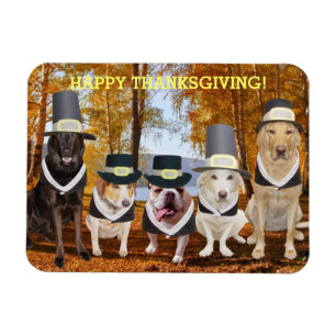  Leuke/Grappige Honden Thanksgiving Magnet Magneet